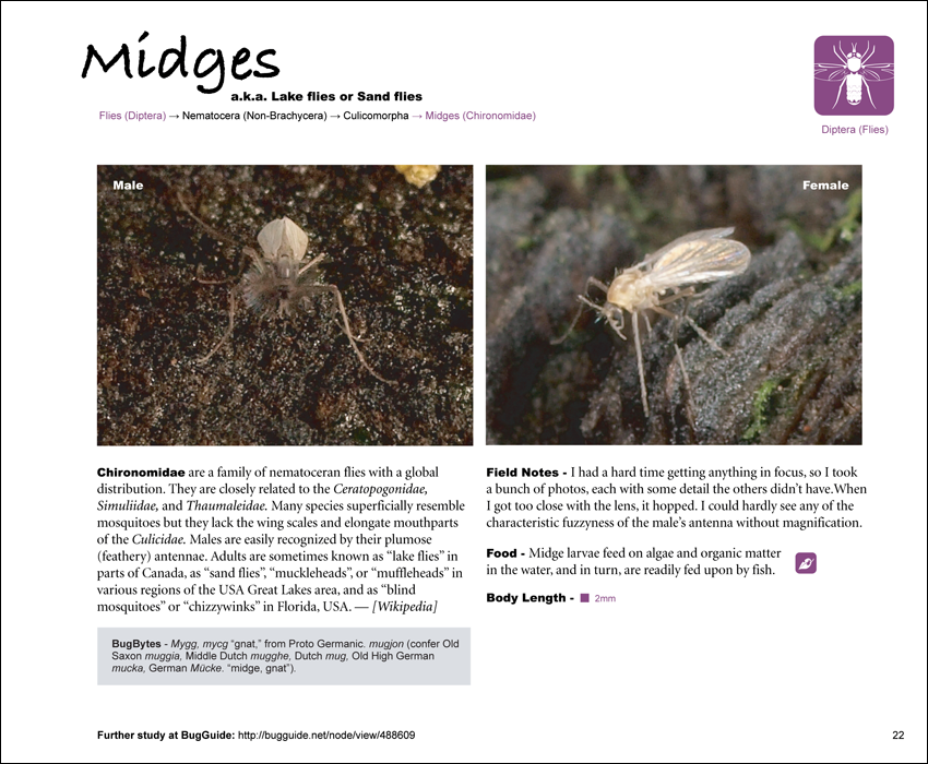 Life on a Redwood Post (CODENAME: BUGBYTES)