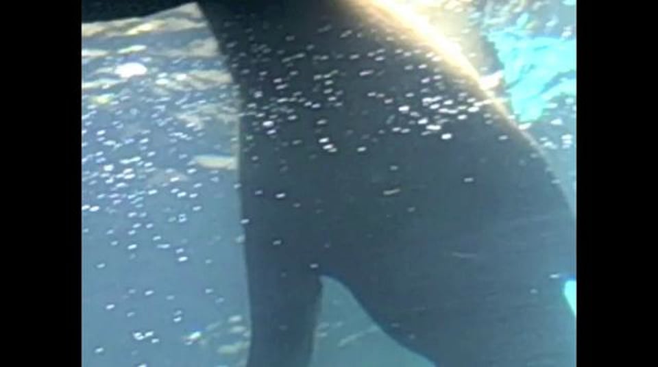 Zoo Adventures - Part 1