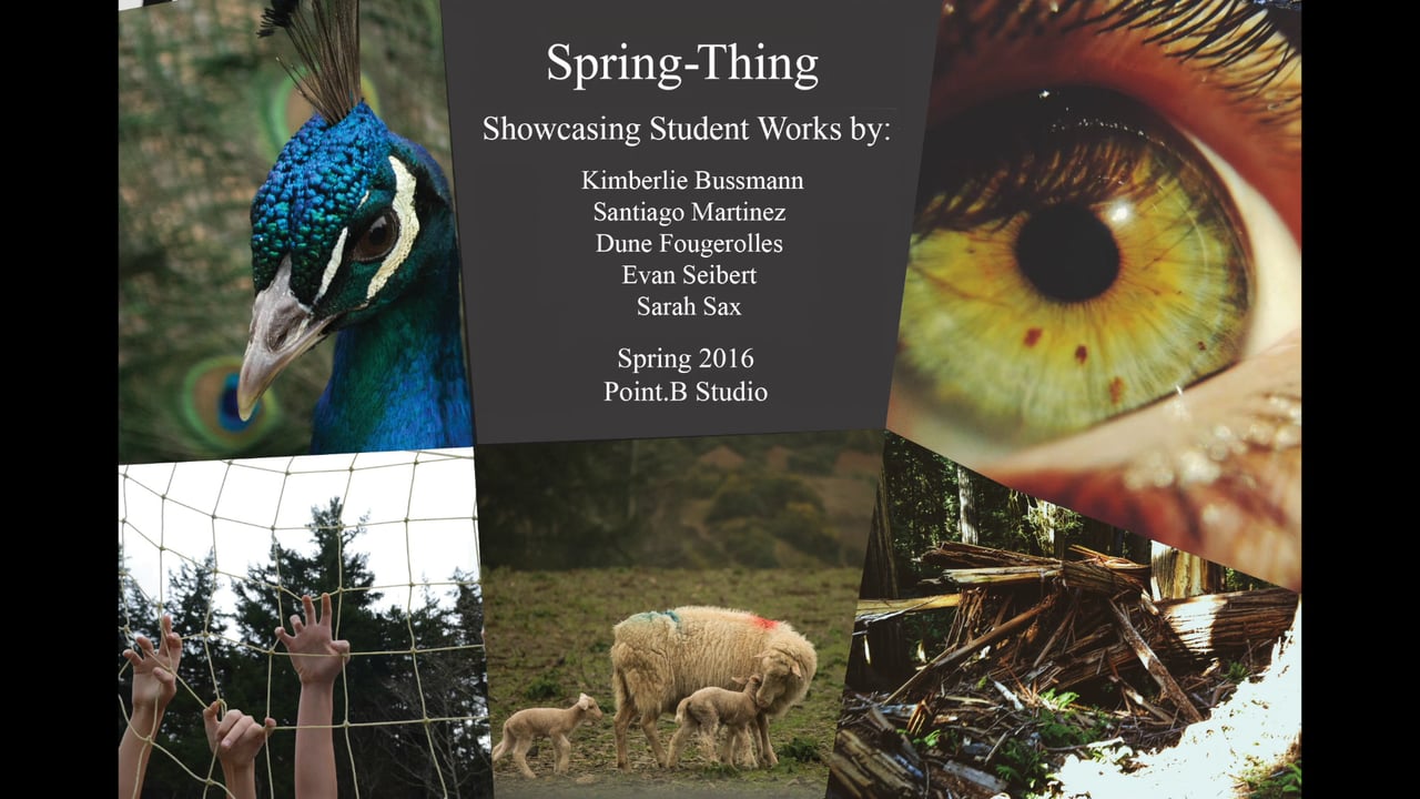 SpringThing 2016