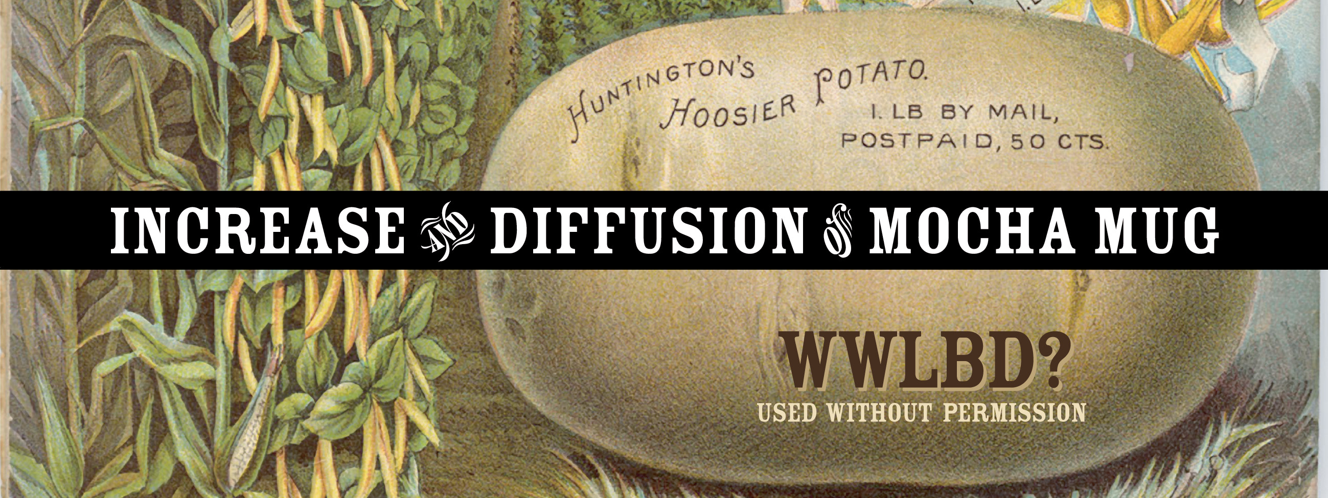 Increase and Diffusion of Mocha